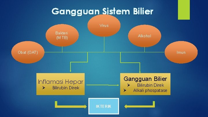 Gangguan Sistem Bilier Virus Bakteri (M TB) Alkohol Obat (OAT) Imun Gangguan Bilier Inflamasi