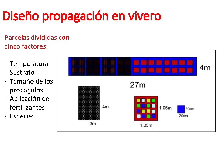 Diseño propagación en vivero Parcelas divididas con cinco factores: - Temperatura - Sustrato - Diseño propagación en vivero Parcelas divididas con cinco factores: - Temperatura - Sustrato -