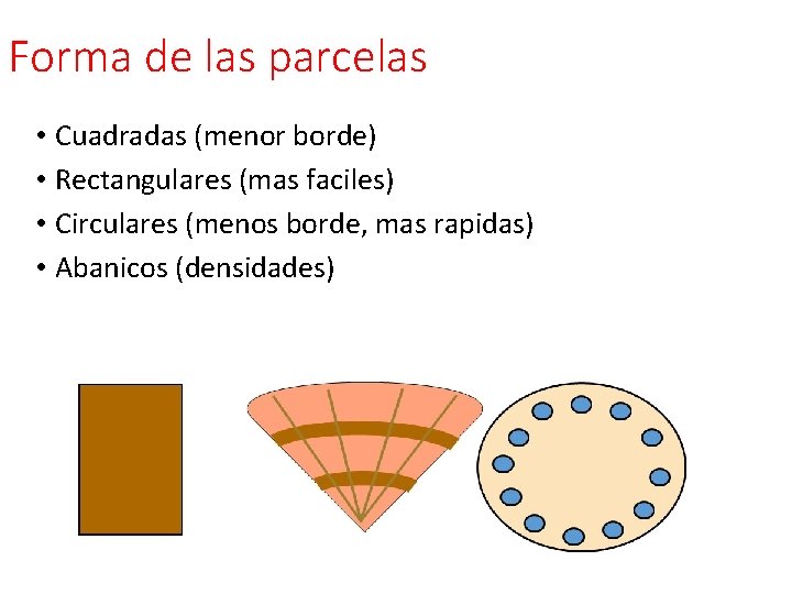 Forma de las parcelas • Cuadradas (menor borde) • Rectangulares (mas faciles) • Circulares Forma de las parcelas • Cuadradas (menor borde) • Rectangulares (mas faciles) • Circulares