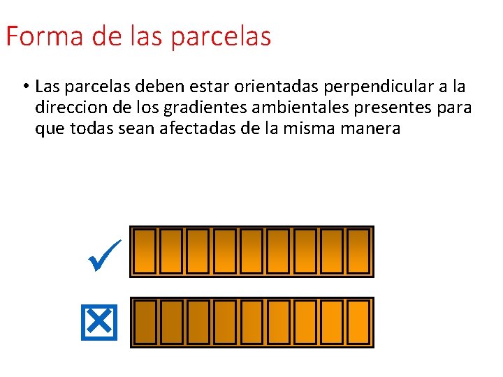 Forma de las parcelas • Las parcelas deben estar orientadas perpendicular a la direccion Forma de las parcelas • Las parcelas deben estar orientadas perpendicular a la direccion