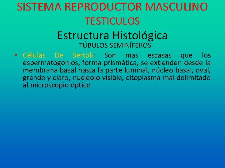 SISTEMA REPRODUCTOR MASCULINO TESTICULOS Estructura Histológica TÚBULOS SEMINÍFEROS • Células De Sertoli: Son mas