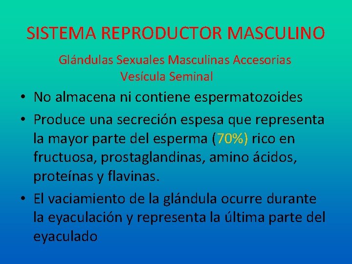 SISTEMA REPRODUCTOR MASCULINO Glándulas Sexuales Masculinas Accesorias Vesícula Seminal • No almacena ni contiene