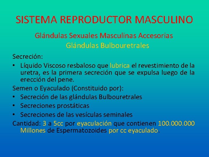 SISTEMA REPRODUCTOR MASCULINO Glándulas Sexuales Masculinas Accesorias Glándulas Bulbouretrales Secreción: • Líquido Viscoso resbaloso
