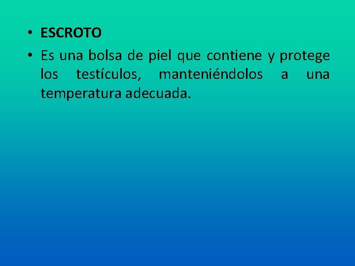  • ESCROTO • Es una bolsa de piel que contiene y protege los