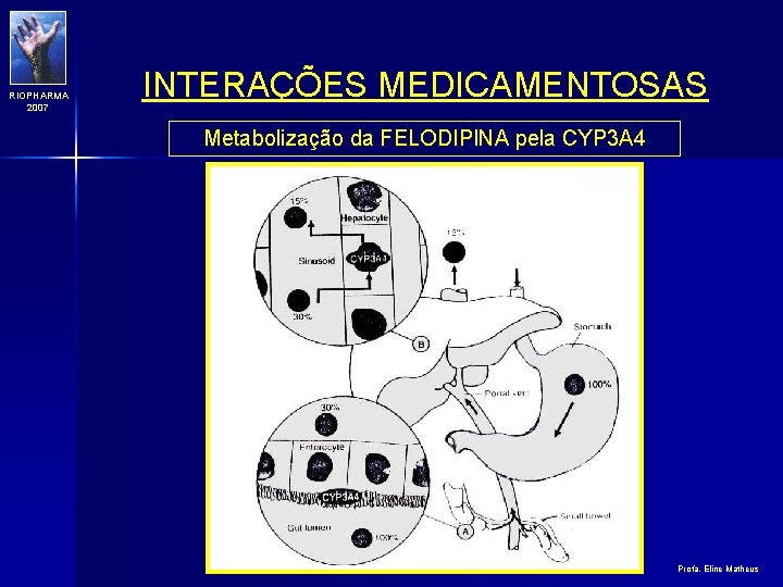 RIOPHARMA 2007 INTERAÇÕES MEDICAMENTOSAS Metabolização da FELODIPINA pela CYP 3 A 4 Profa. Eline