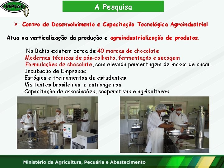 A Pesquisa Ø Centro de Desenvolvimento e Capacitação Tecnológica Agroindustrial Atua na verticalização da