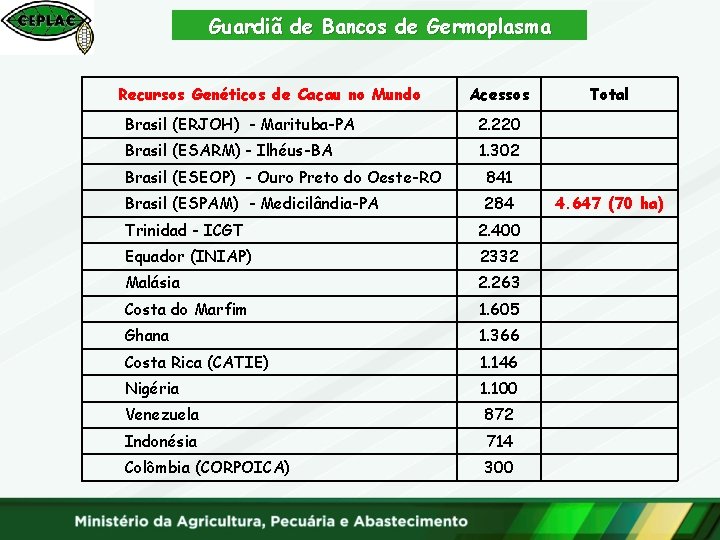 Guardiã de Bancos de Germoplasma Recursos Genéticos de Cacau no Mundo Acessos Brasil (ERJOH)