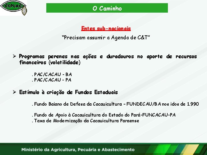 O Caminho Entes sub-nacionais “Precisam assumir a Agenda de C&T” Ø Programas perenes nas