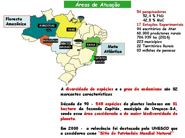 Áreas de Atuação Floresta Amazônica AMAZONAS PARÁ RONDÔNIA MATO GROSSO BAHIA Mata Atlântica 54