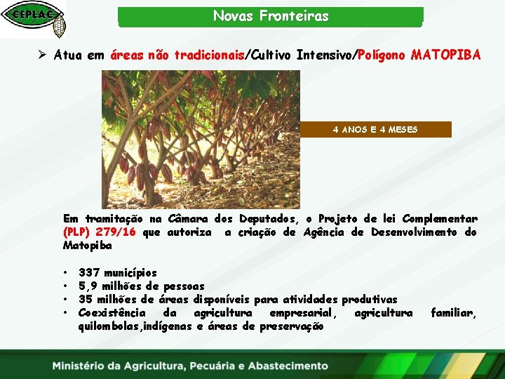 Novas Fronteiras Ø Atua em áreas não tradicionais/Cultivo Intensivo/Polígono MATOPIBA 4 ANOS E 4