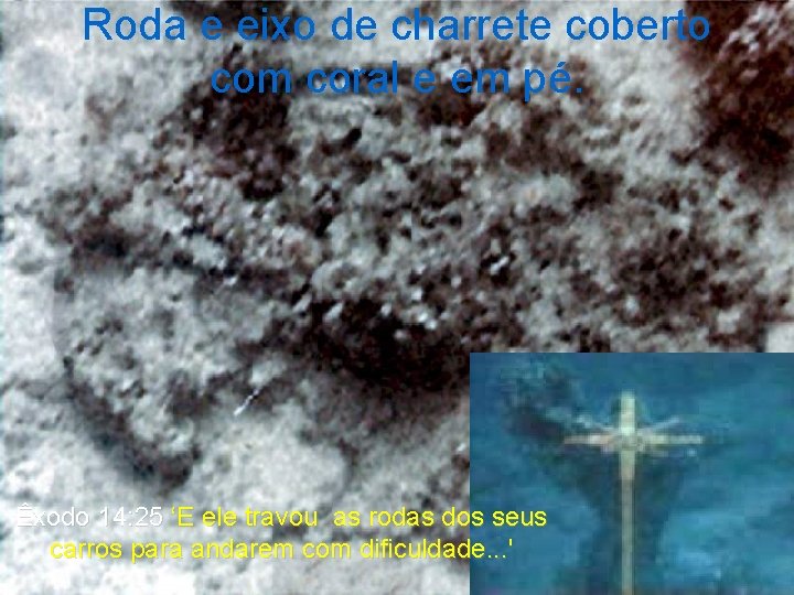 Roda e eixo de charrete coberto com coral e em pé. Êxodo 14: 25