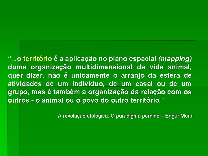 “. . . o território é a aplicação no plano espacial (mapping) duma organização