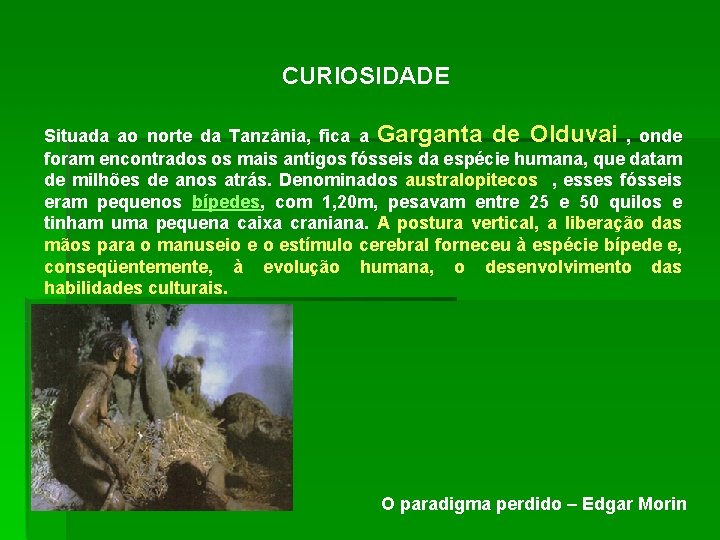 CURIOSIDADE Situada ao norte da Tanzânia, fica a Garganta de Olduvai , onde foram