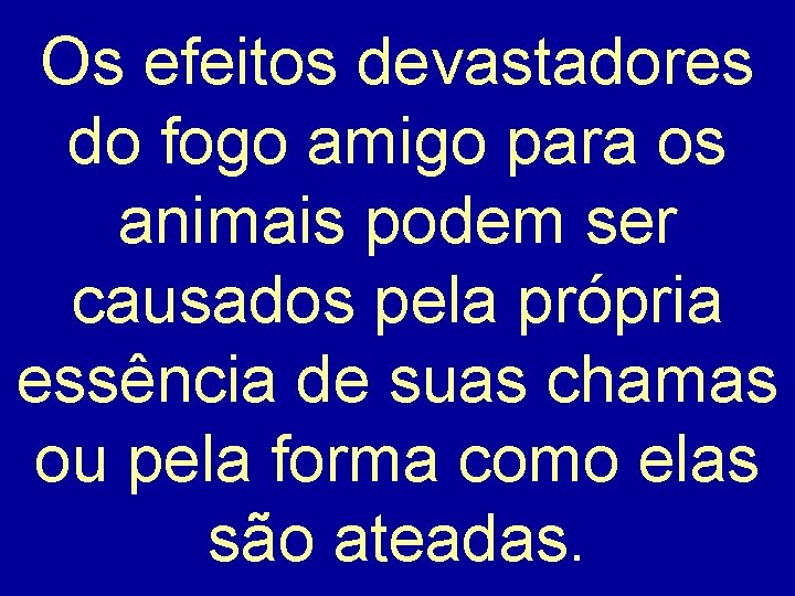 Os efeitos devastadores do fogo amigo para os animais podem ser causados pela própria