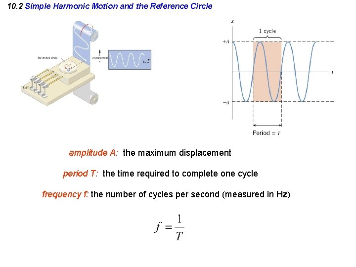 10. 2 Simple Harmonic Motion and the Reference Circle amplitude A: the maximum displacement