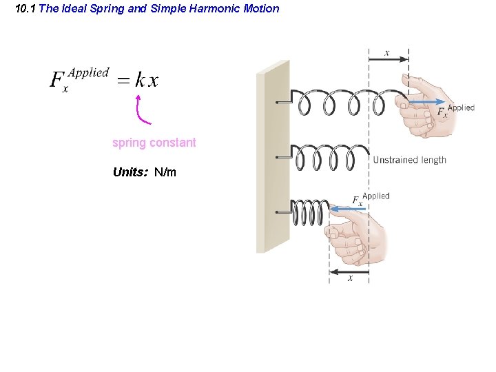 10. 1 The Ideal Spring and Simple Harmonic Motion spring constant Units: N/m 