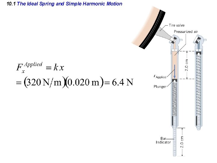 10. 1 The Ideal Spring and Simple Harmonic Motion 