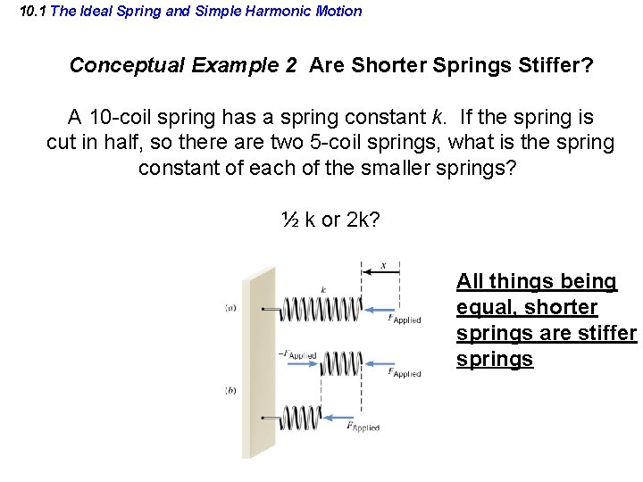 10. 1 The Ideal Spring and Simple Harmonic Motion Conceptual Example 2 Are Shorter