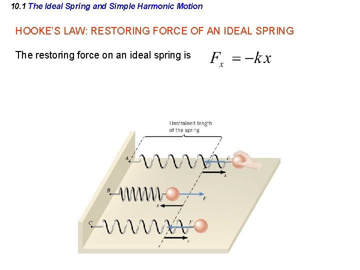 10. 1 The Ideal Spring and Simple Harmonic Motion HOOKE’S LAW: RESTORING FORCE OF
