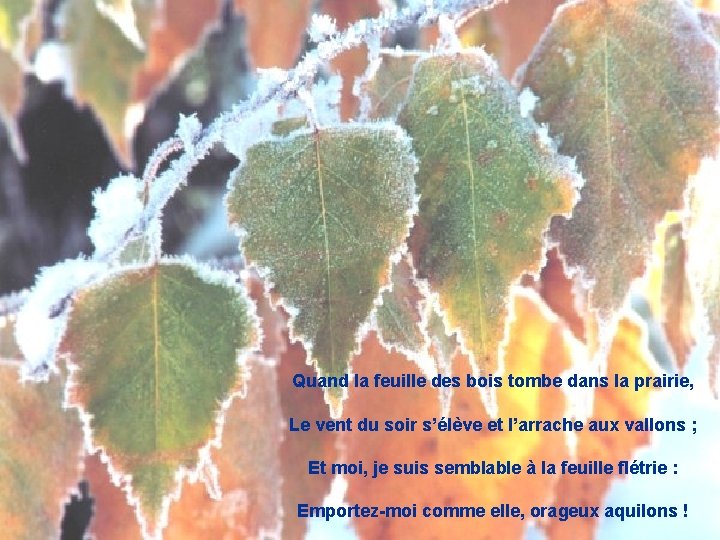 Quand la feuille des bois tombe dans la prairie, Le vent du soir s’élève