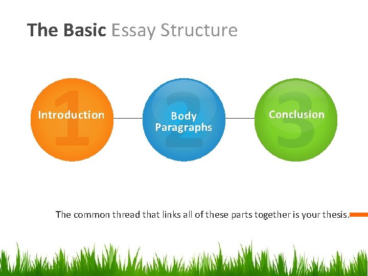 The Basic Essay Structure 1 2 3 Introduction Body Paragraphs Conclusion The common thread