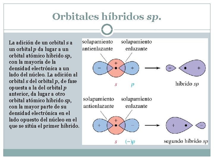 Orbitales híbridos sp. La adición de un orbital s a un orbital p da Orbitales híbridos sp. La adición de un orbital s a un orbital p da