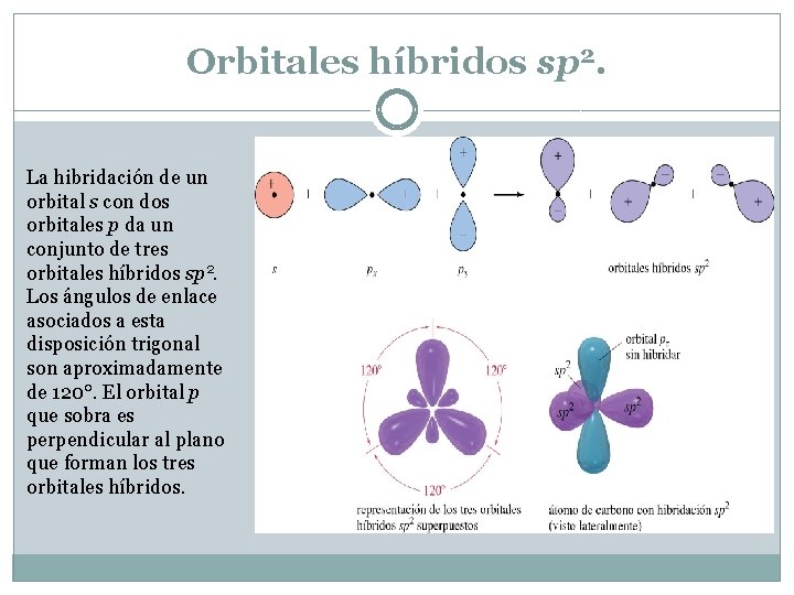 Orbitales híbridos sp 2. La hibridación de un orbital s con dos orbitales p Orbitales híbridos sp 2. La hibridación de un orbital s con dos orbitales p