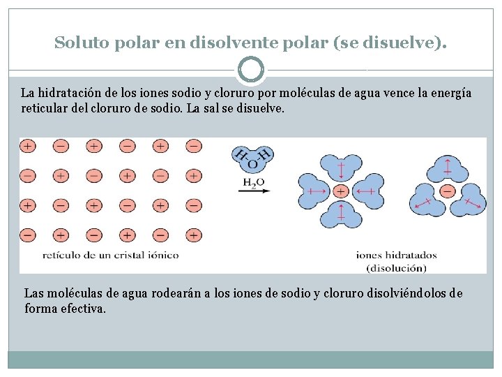 Soluto polar en disolvente polar (se disuelve). La hidratación de los iones sodio y Soluto polar en disolvente polar (se disuelve). La hidratación de los iones sodio y