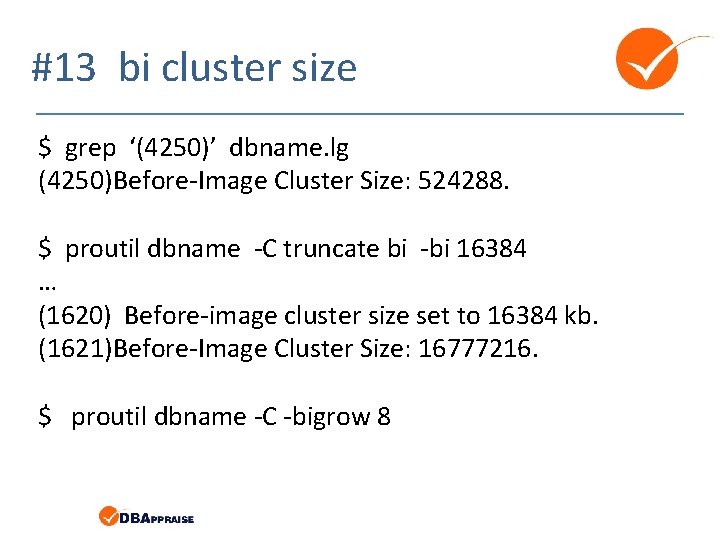 #13 bi cluster size $ grep ‘(4250)’ dbname. lg (4250)Before-Image Cluster Size: 524288. $