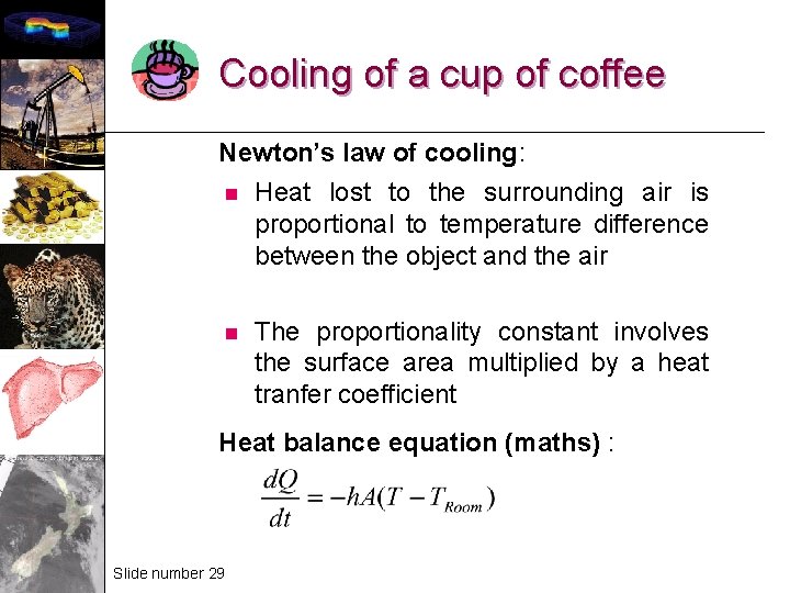 Cooling of a cup of coffee Newton’s law of cooling: n Heat lost to