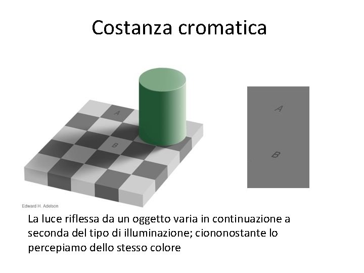 Costanza cromatica La luce riflessa da un oggetto varia in continuazione a seconda del