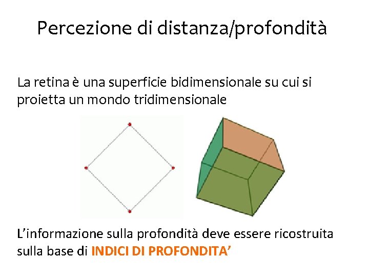 Percezione di distanza/profondità La retina è una superficie bidimensionale su cui si proietta un