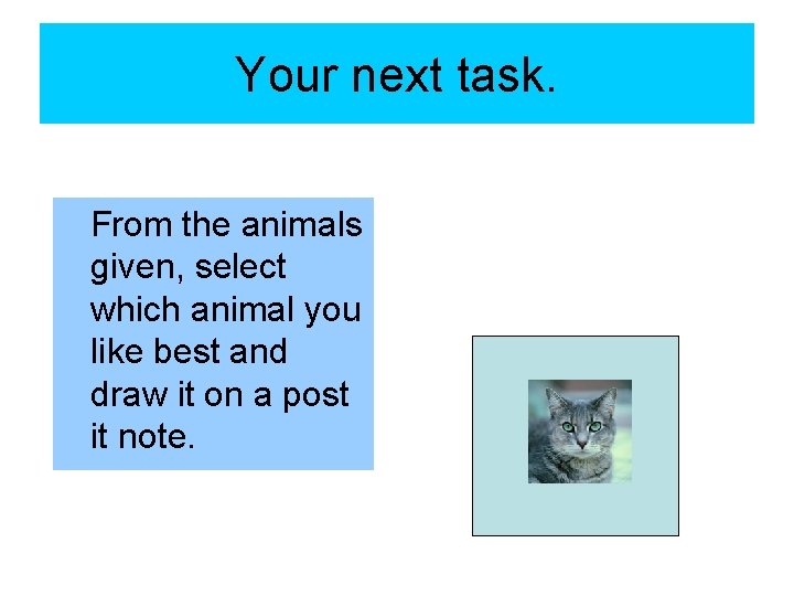Your next task. From the animals given, select which animal you like best and