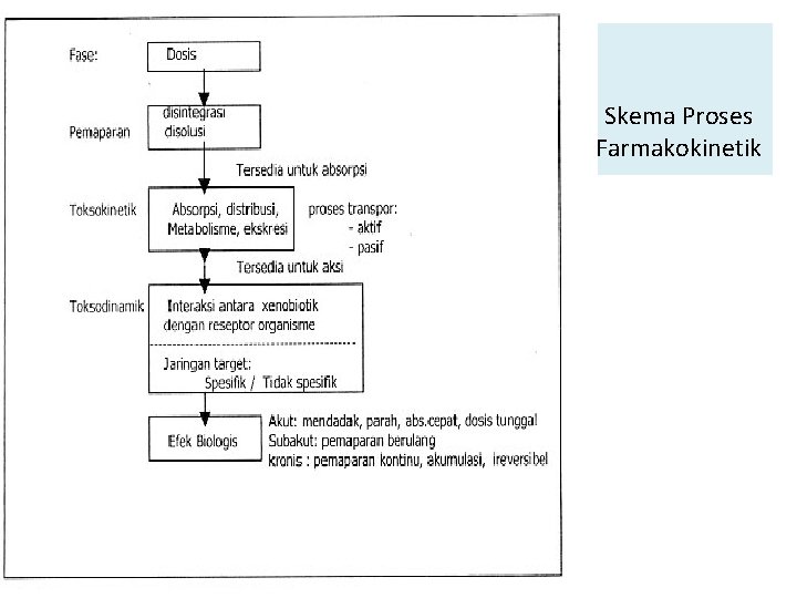 Skema Proses Farmakokinetik 