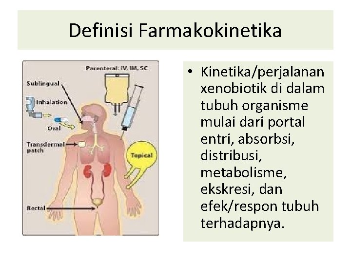 Definisi Farmakokinetika • Kinetika/perjalanan xenobiotik di dalam tubuh organisme mulai dari portal entri, absorbsi,