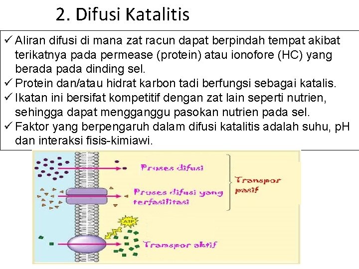 2. Difusi Katalitis ü Aliran difusi di mana zat racun dapat berpindah tempat akibat