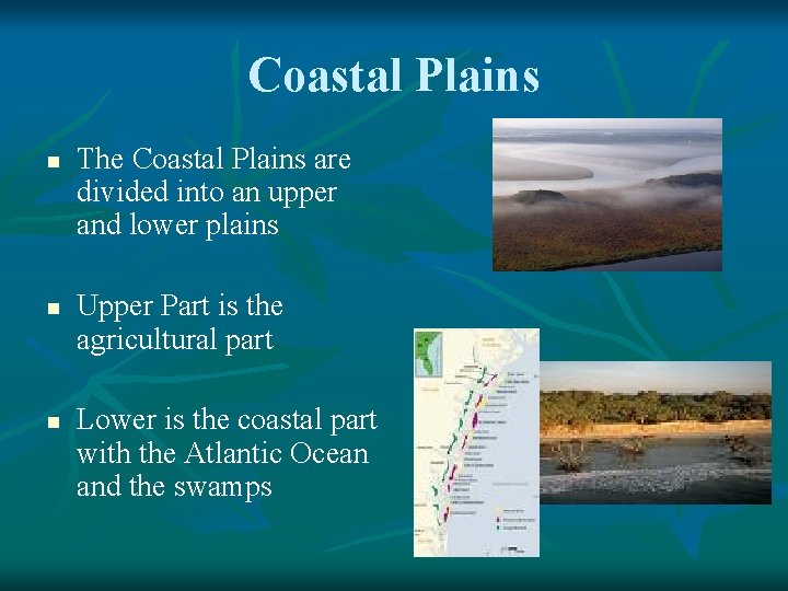 Coastal Plains n n n The Coastal Plains are divided into an upper and