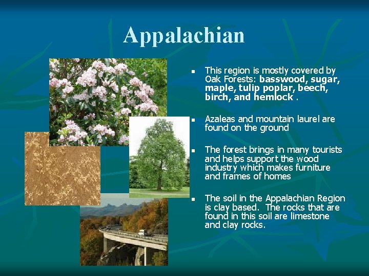 Appalachian n n This region is mostly covered by Oak Forests: basswood, sugar, maple,