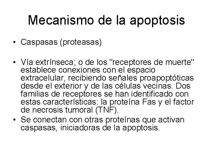 Mecanismo de la apoptosis • Caspasas (proteasas) • Vía extrínseca; o de los "receptores