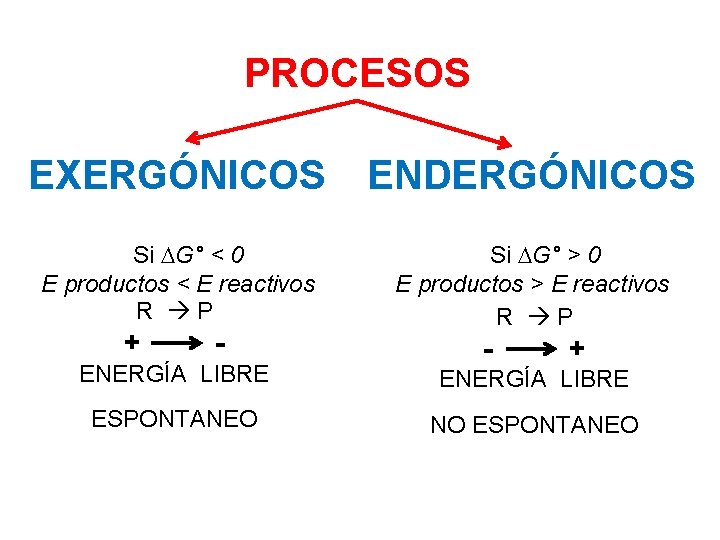PROCESOS EXERGÓNICOS ENDERGÓNICOS Si G° < 0 E productos < E reactivos R P PROCESOS EXERGÓNICOS ENDERGÓNICOS Si G° < 0 E productos < E reactivos R P