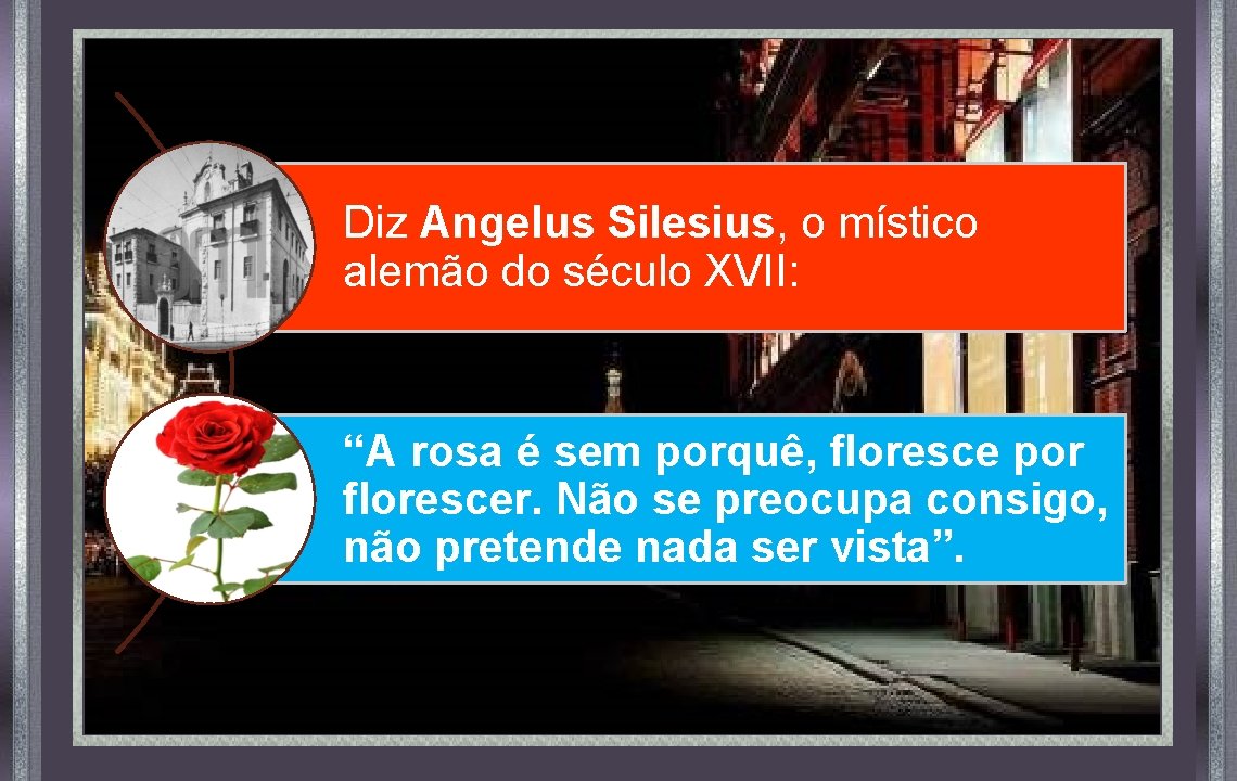 Diz Angelus Silesius, o místico alemão do século XVII: “A rosa é sem porquê,