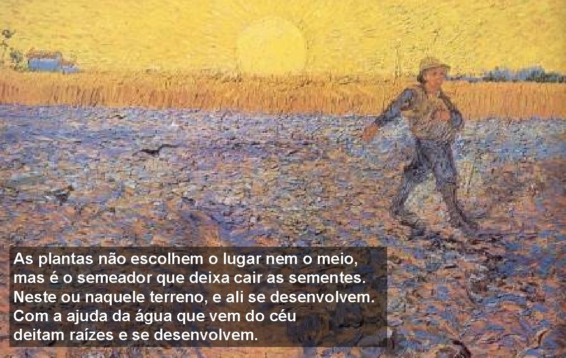  As plantas não escolhem o lugar nem o meio, mas é o semeador