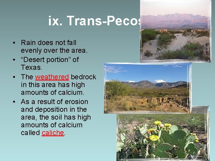 ix. Trans-Pecos • Rain does not fall evenly over the area. • “Desert portion”