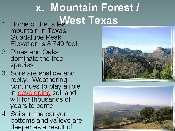 x. Mountain Forest / West Texas 1. Home of the tallest mountain in Texas,