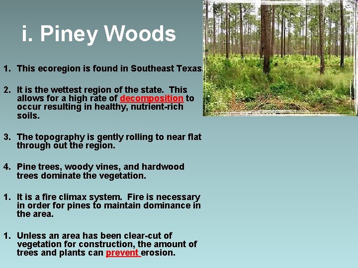 i. Piney Woods 1. This ecoregion is found in Southeast Texas. 2. It is