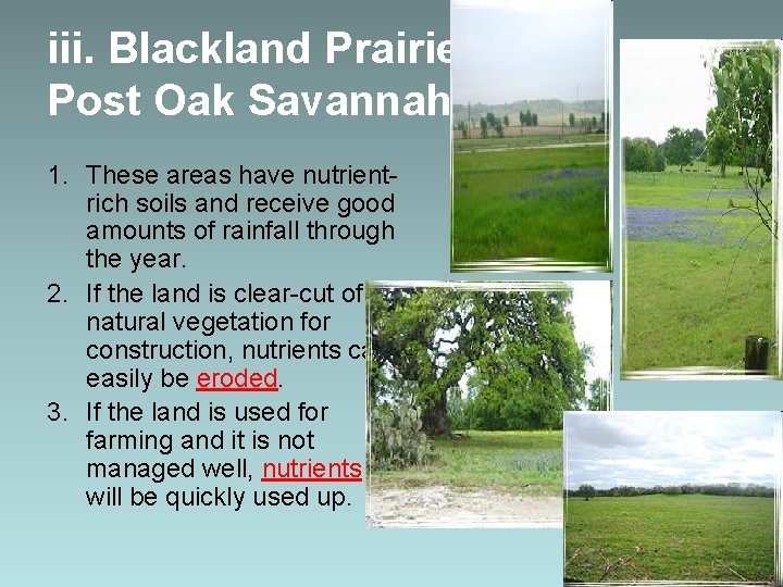 iii. Blackland Prairie & Post Oak Savannah 1. These areas have nutrientrich soils and