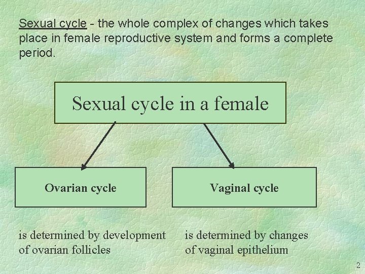 Sexual cycle - the whole complex of changes which takes place in female reproductive