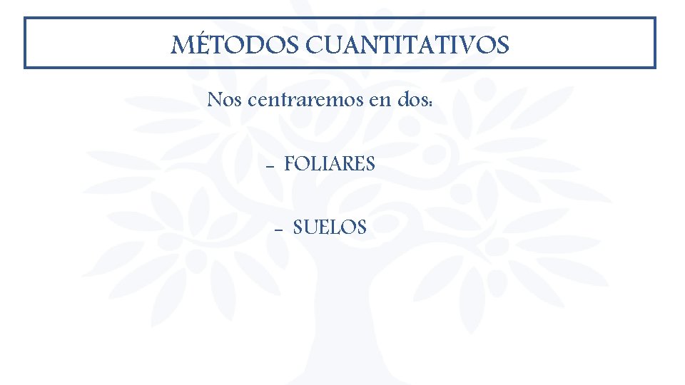 MÉTODOS CUANTITATIVOS Nos centraremos en dos: - FOLIARES - SUELOS MÉTODOS CUANTITATIVOS Nos centraremos en dos: - FOLIARES - SUELOS