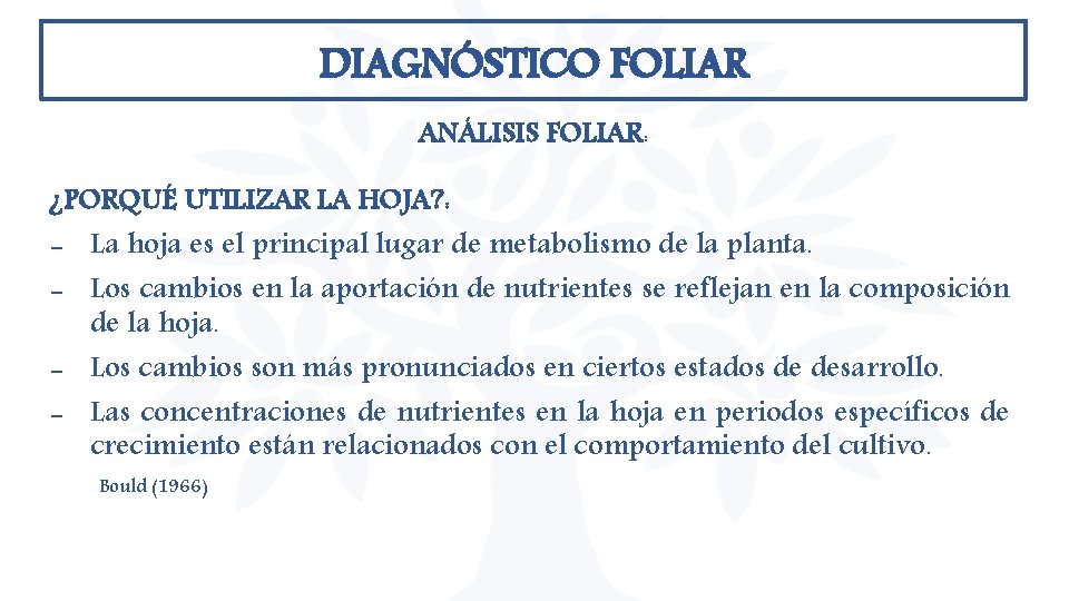 DIAGNÓSTICO FOLIAR ANÁLISIS FOLIAR: ¿PORQUÉ UTILIZAR LA HOJA? : - La hoja es el DIAGNÓSTICO FOLIAR ANÁLISIS FOLIAR: ¿PORQUÉ UTILIZAR LA HOJA? : - La hoja es el
