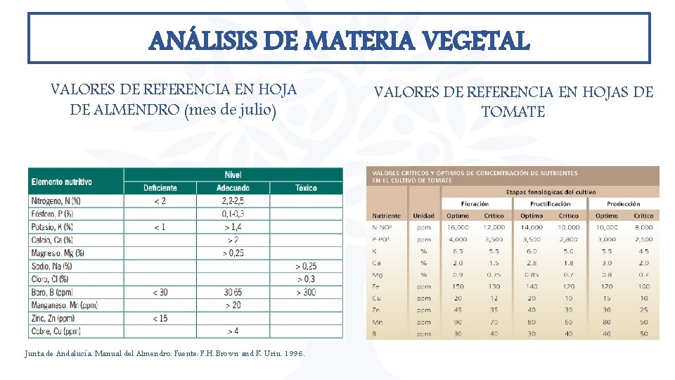 ANÁLISIS DE MATERIA VEGETAL VALORES DE REFERENCIA EN HOJA DE ALMENDRO (mes de julio) ANÁLISIS DE MATERIA VEGETAL VALORES DE REFERENCIA EN HOJA DE ALMENDRO (mes de julio)